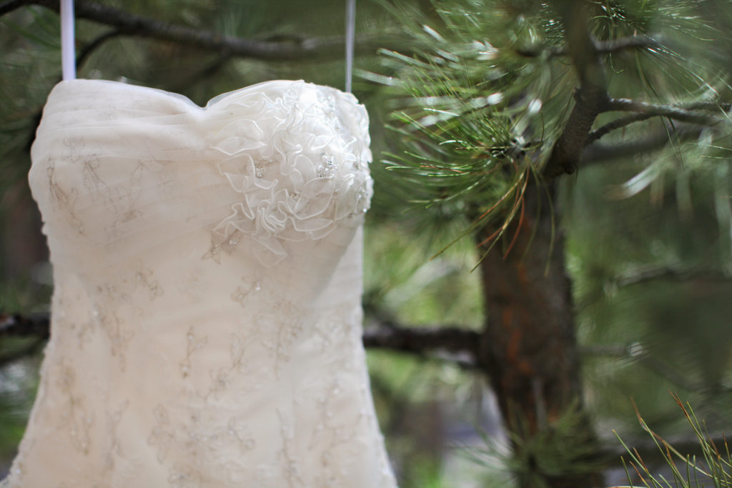 Estes Park Wedding Photographer